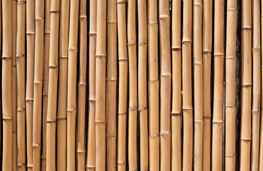 פתרונות במבוק2