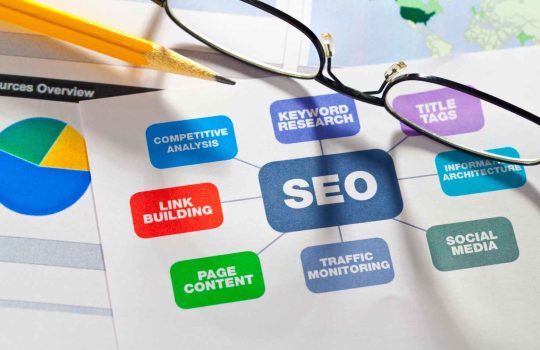 Organic SEO Company2